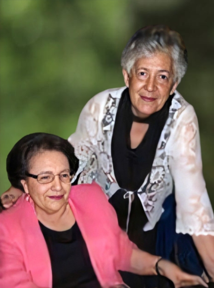 (737 Kb)
 
(Clique na imagem para a ver no tamanho original)